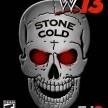 WWE13 Cover Collector