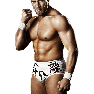 WWE13 Render DanielBryan