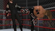 WWE13 Wii HBKTaker