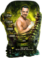 SuperCard Angel S8 42 Mire
