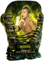 SuperCard Kushida S8 42 Mire