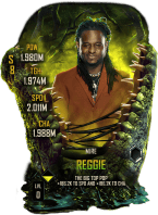 SuperCard Reggie S8 42 Mire