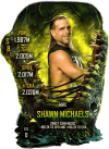 SuperCard Shawn Michaels S8 42 Mire