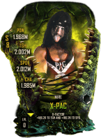 SuperCard X Pac S8 42 Mire