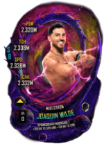 Joaquin Wilde