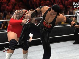 WWE13 NashBrodus