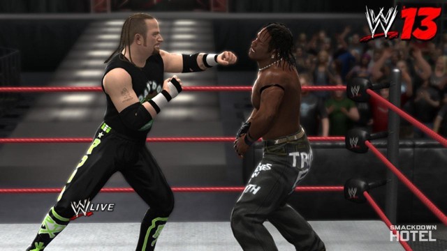 WWE13 RoadDogg