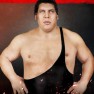 wwe2k20 artworks andre the giant