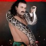 wwe2k20 artworks jake roberts