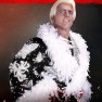wwe2k20 artworks ric flair