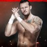 wwe2k20 artworks shane thorne