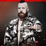 wwe2k20 artworks sheamus