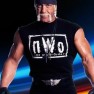 wwe2k22 artworks hollywood hogan