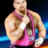 wwe2k22 artworks jim neidhart