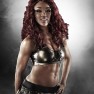 wwe12 artworks alicia fox