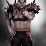 wwe12 artworks animal