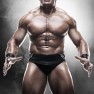 wwe12 artworks brock lesnar