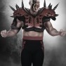 wwe12 artworks hawk