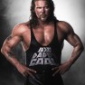 wwe12 artworks kevin nash