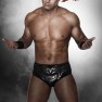 wwe12 artworks the miz