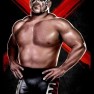 wwe13 artworks animal