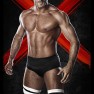 wwe13 artworks antonio cesaro