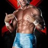 wwe13 artworks billy gunn