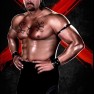 wwe13 artworks bradshaw