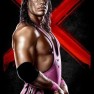 wwe13 artworks bret hart