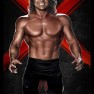 wwe13 artworks brian pillman