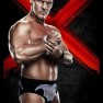 wwe13 artworks chris jericho