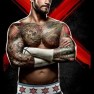 wwe13 artworks cm punk