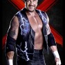 wwe13 artworks diamond dallas page