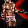 wwe13 artworks dolph ziggler