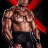 wwe13 artworks faarooq