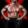 wwe13 artworks hawk