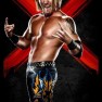wwe13 artworks heath slater