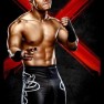 wwe13 artworks primo