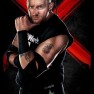 wwe13 artworks road dogg