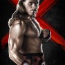 wwe13 artworks shawn michaels