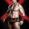 wwe13 artworks sheamus