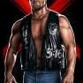 wwe13 artworks stone cold