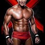 wwe13 artworks ted dibiase