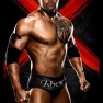 wwe13 artworks the rock