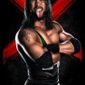 wwe13 artworks x pac