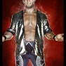 wwe2k14 artworks chris jericho retro