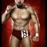 wwe2k14 artworks daniel bryan