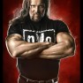 wwe2k14 artworks kevin nash nwo