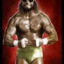 wwe2k14 artworks randy savage