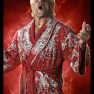 wwe2k14 artworks ric flair retro